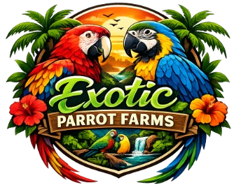 exoticparrotfarms.com