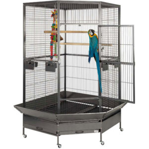 Raleigh Large Solid Top Corner Parrot Cage Liberta 2nd Edition